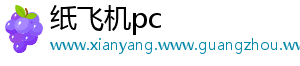 纸飞机pc